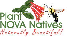 Plant-NoVA-Natives-Logo---Lonicera-sempervirens-and-Hemaris-diffinis--png.png