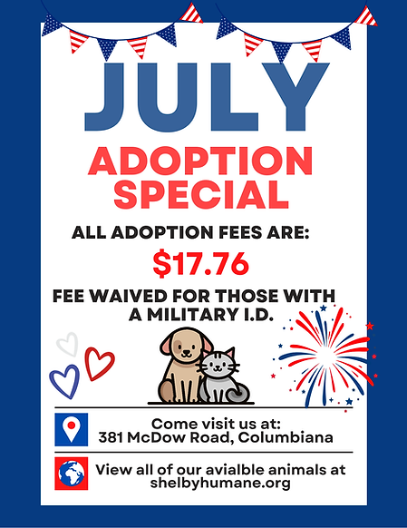 Independence Day  (US) Flyer.png