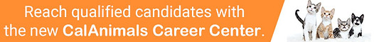 Banner CA kittens orange Reach.jpg