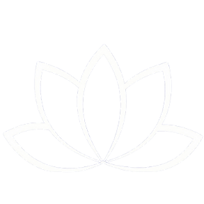 Lilly Logo - Colors.png