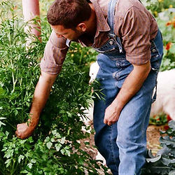 Gardening