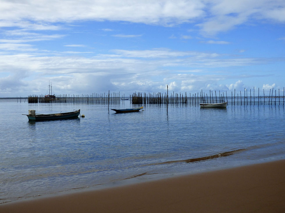 Foto 45 - Barcos.JPG
