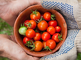 donate produce.png