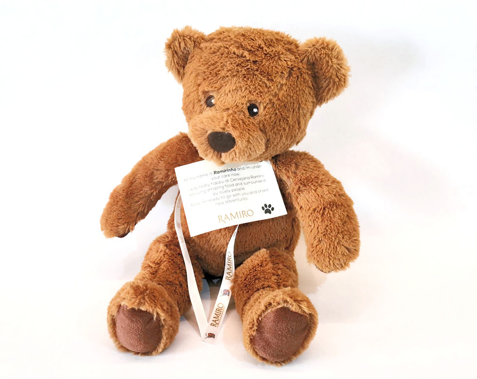 Peluche "Ramirinho"