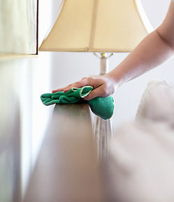 Woman Cleaning Furniture