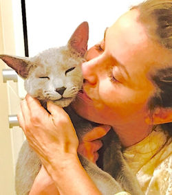 Los Angeles CA lost cat found with pet detective advice