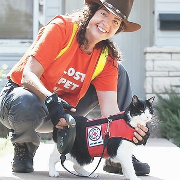 The Cat Detective and lost cat tracking dog