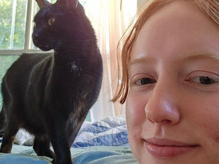 Cat lost in carrier accident is found and home!