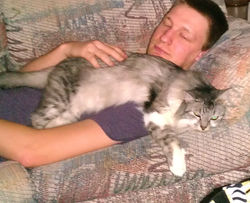 Jackson FOUND cat.jpg