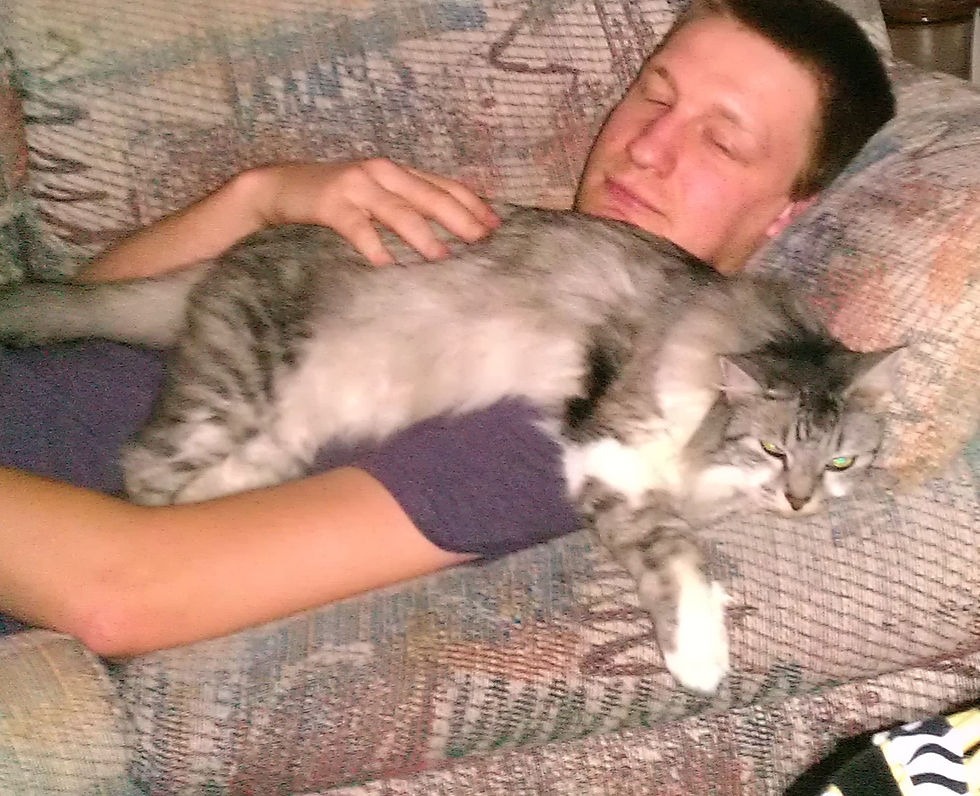 Jackson FOUND cat.jpg