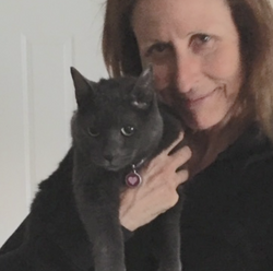 lost cat finder book tips
