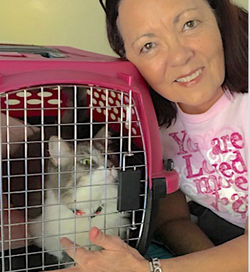 Pet detective finds lost cat IRMA