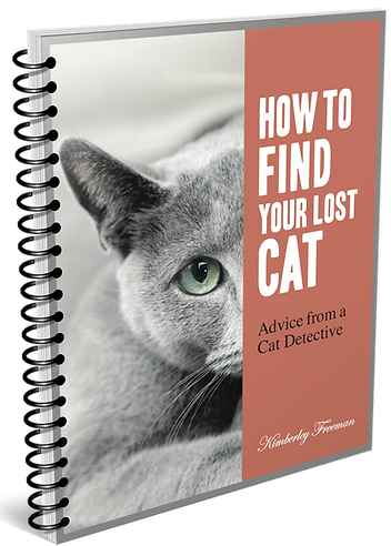 Lost Cat ebook