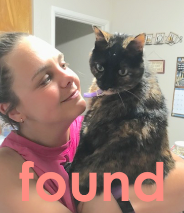 Lost tortie cat found with Pet detective advice.png