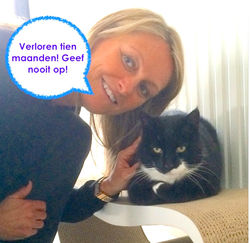 Lost cat found Belgium pet detective