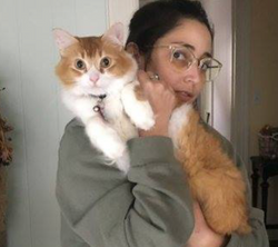 lost cat advice