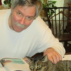 cat lost 32 days