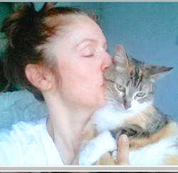 lost cat found Quebec Montreal