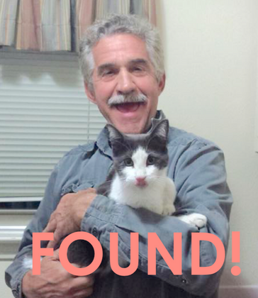 Cat lost 18 days found in Dallas.png