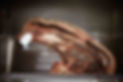 House-aged beef