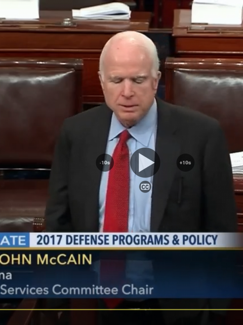mccain.png