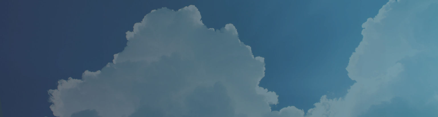 backdrop.jpg