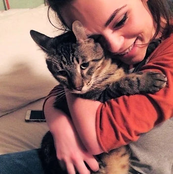 lost cat found in Austin