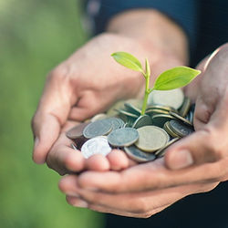 13996-cupped-hands-giving-coins-seedling-gettyimage.jpg
