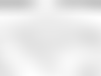 PrivCom's Mascot's Name