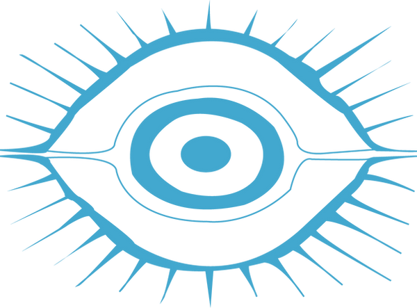 eeye.png